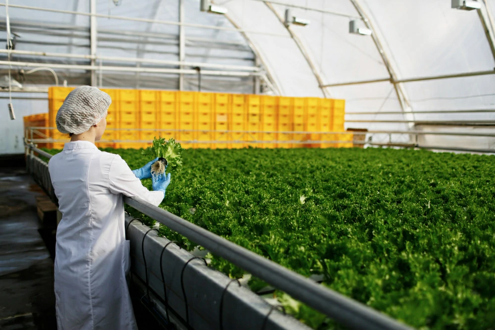 Sustainable Solutions